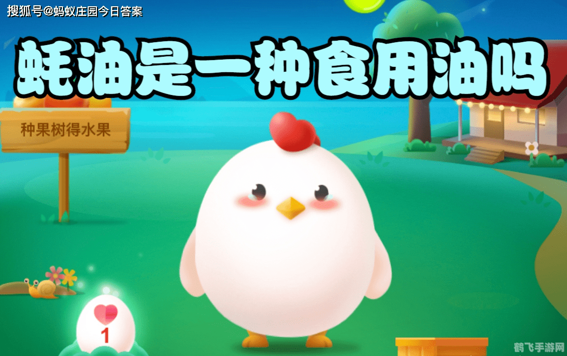 蚝油是一种食用油吗蚂蚁庄园,蚝油