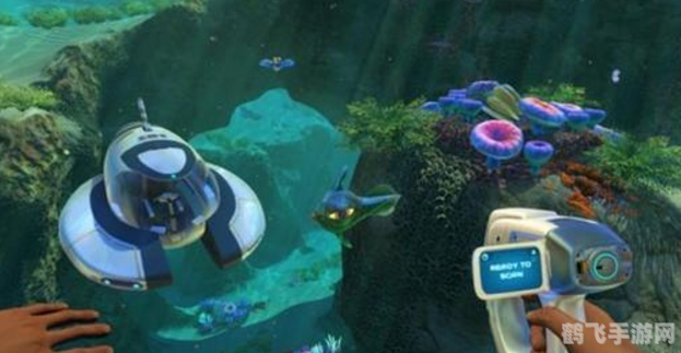 探秘海洋中的夏眠者,游戏攻略与知识解析