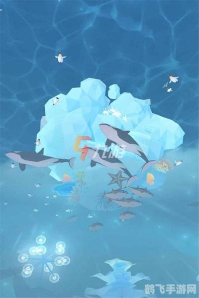 探秘海洋中的夏眠者,游戏攻略与知识解析