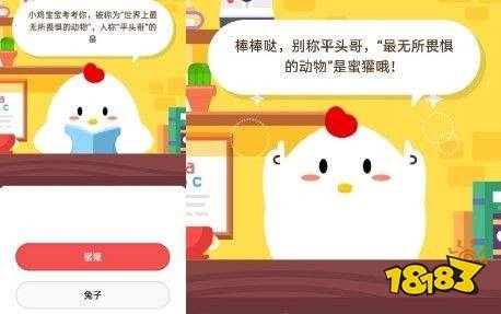 恨不相逢未嫁时蚂蚁庄园深度玩法与攻略