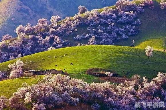 超级舞者跳舞毯,超级舞者跳舞毯,舞动全身,畅享游戏乐趣!