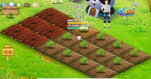 QQ农场快速升级攻略，揭秘高效升级技巧