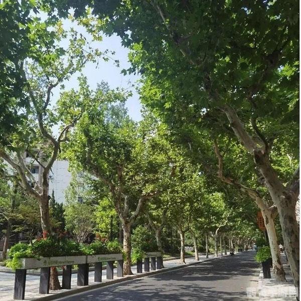 暖暖环游世界法国浪漫之旅攻略