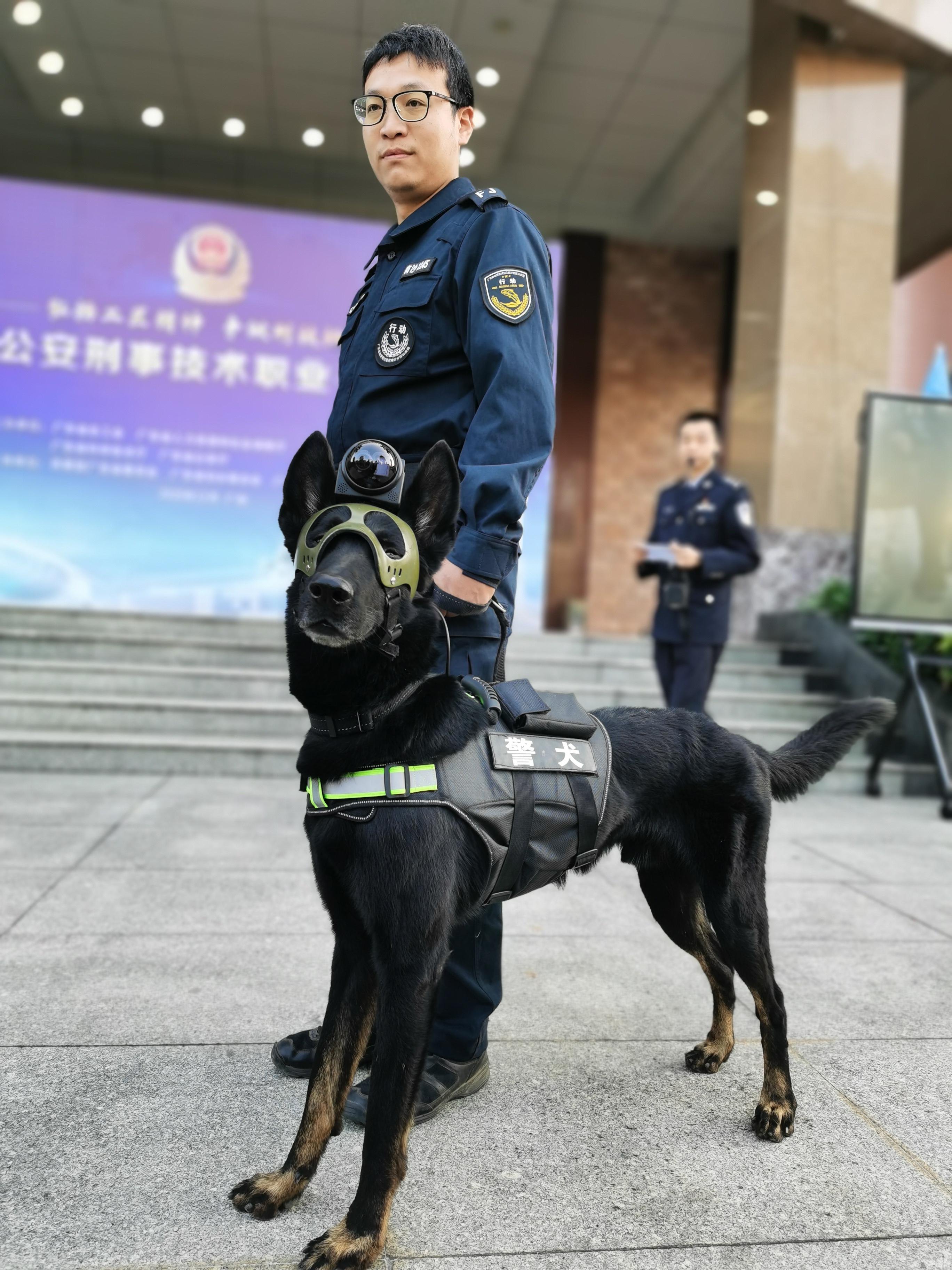 导航犬地图手游深度玩法与攻略指南
