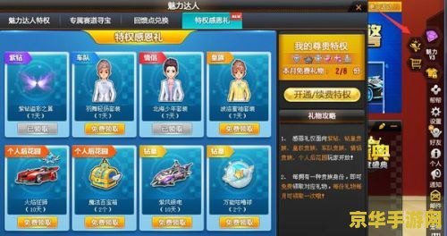 QQ飞车紫钻升级攻略，快速成为尊贵紫钻玩家