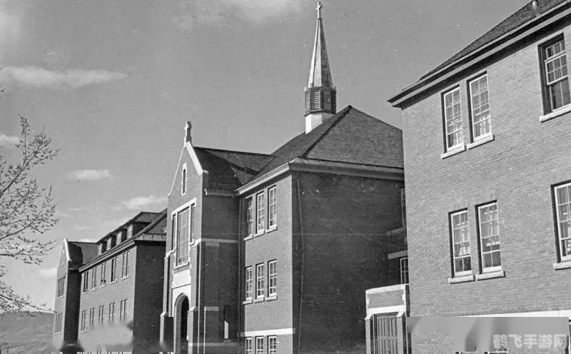 一、普迪图斯的历史