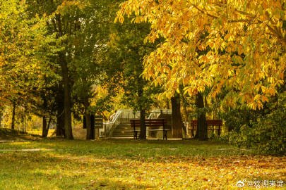秋意盎然，探索蚂蚁庄园的秋日风光