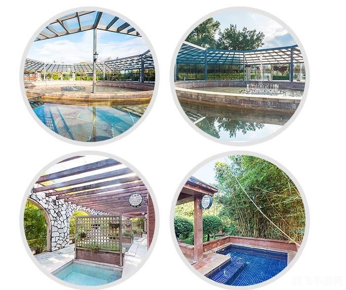 苏打水有改变酸性体质蚂蚁庄园,苏打水与体质转变,蚂蚁庄园手游全新攻略