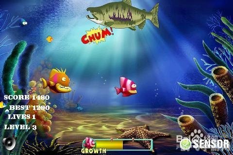 大鱼吃小鱼手游攻略,深海生存的法则与技巧