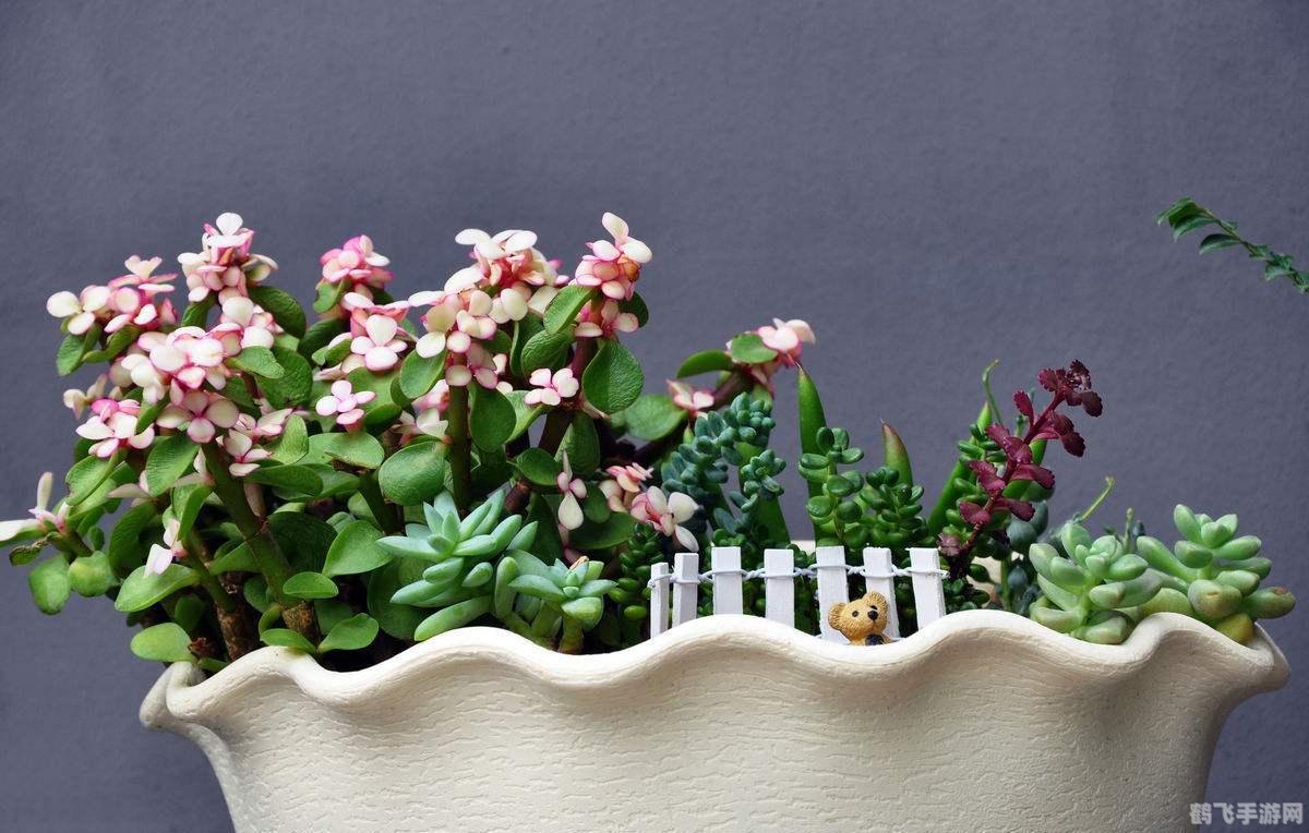 揭秘，哪种水果更容易招蚊子？