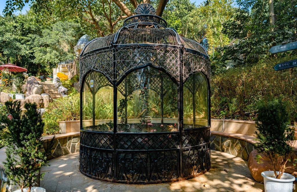 DNF童话王国，爱丽丝梦境探险攻略