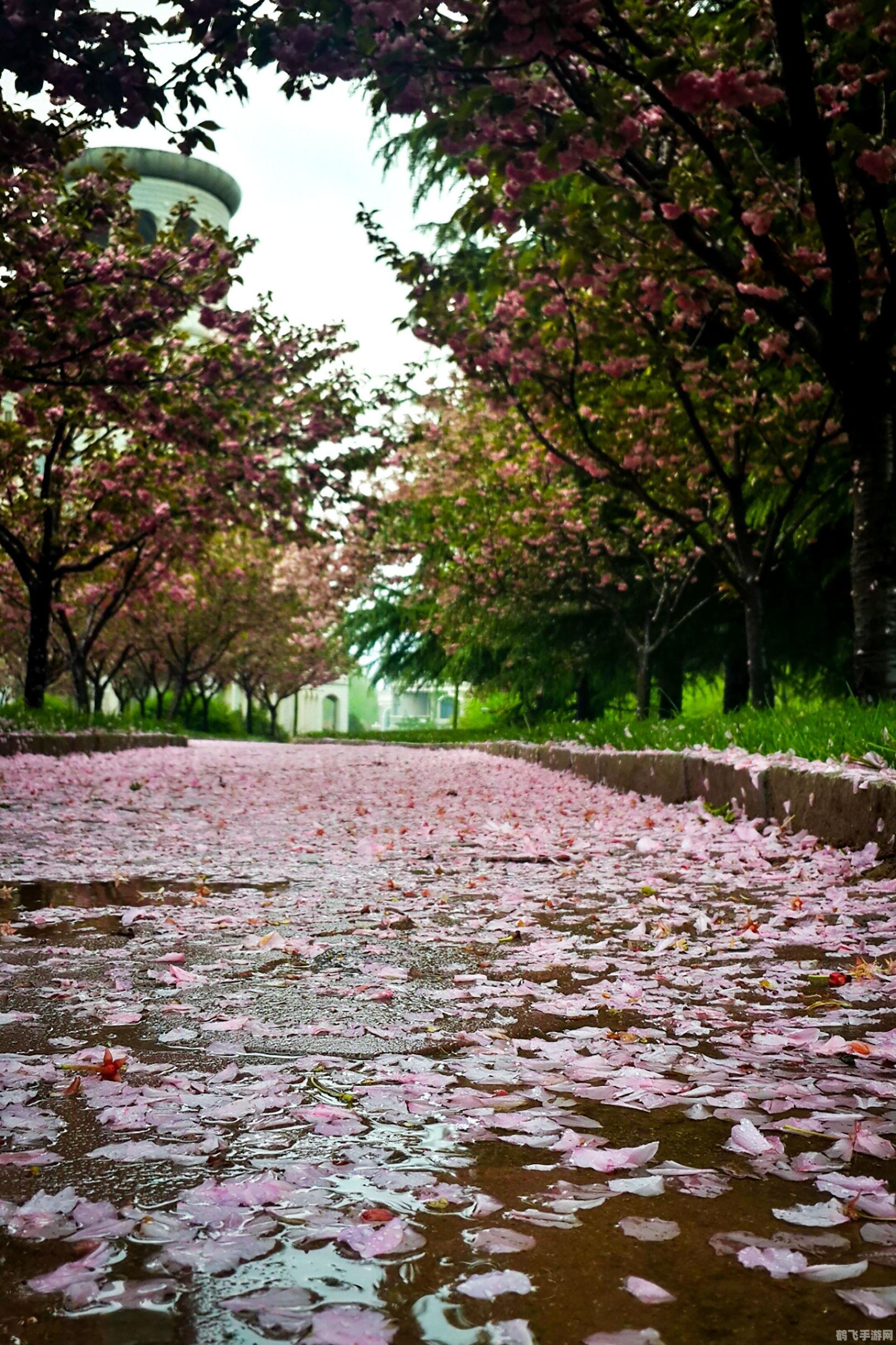 花瓣小尾巴的樱花符号,手游樱花绚烂，探索与攻略