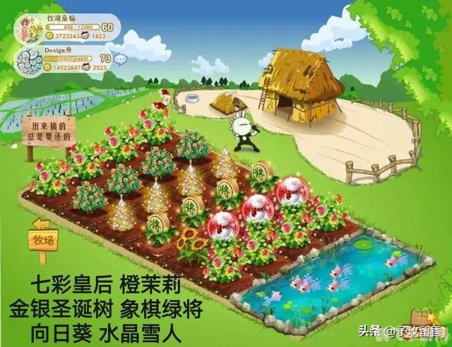 QQ农场金土地,玩转农场,打造你的金色田园