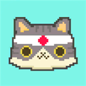 弹跳小猫