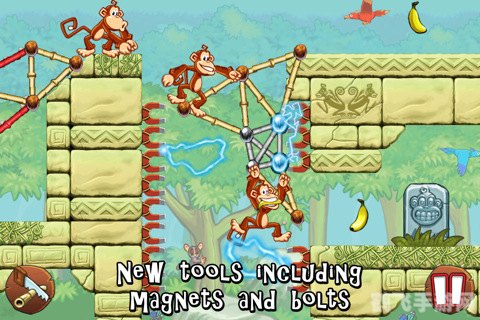 猴子也疯狂攻略,猴子也疯狂游戏攻略，疯狂猴子的制胜秘诀