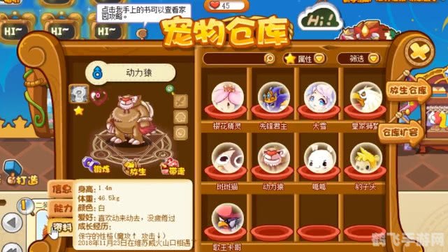 洛克王国龟仙隐者怎么打,洛克王国，战胜龟仙隐者的秘诀揭晓