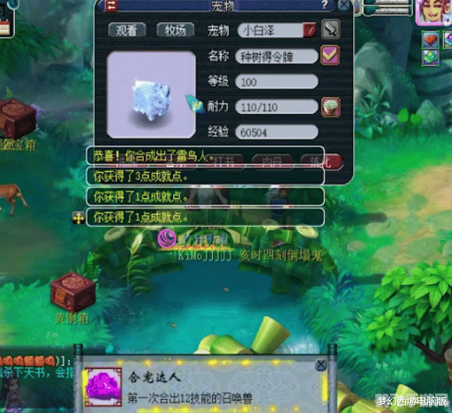 梦幻西游雷鸟人饰品，神秘力量的象征与获取攻略