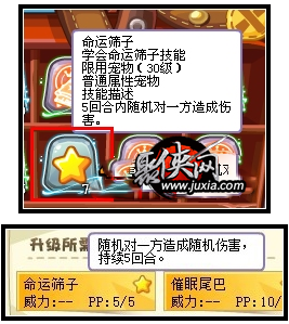 洛克王国命运筛子,玩转策略,决胜王国之巅