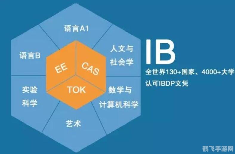 工程学分支,探索工程学分支,解锁游戏新境界