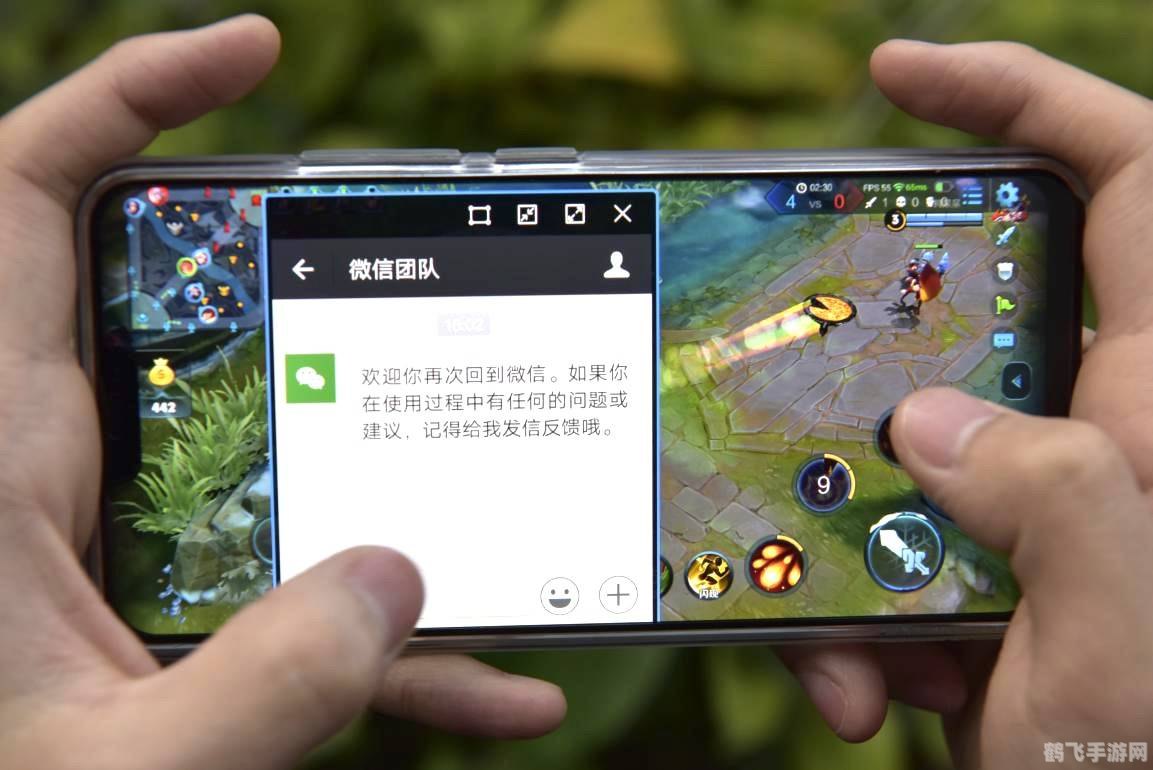 vivo手机用户专属，手游王者荣耀玩法与攻略大揭秘