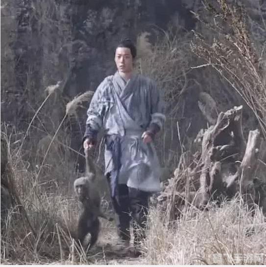 诛仙2手游推广员账号独享攻略，玩转仙侠世界