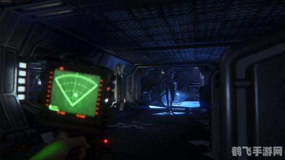 土壤大致可分为三层,探秘土壤奥秘，三层土壤的游戏攻略