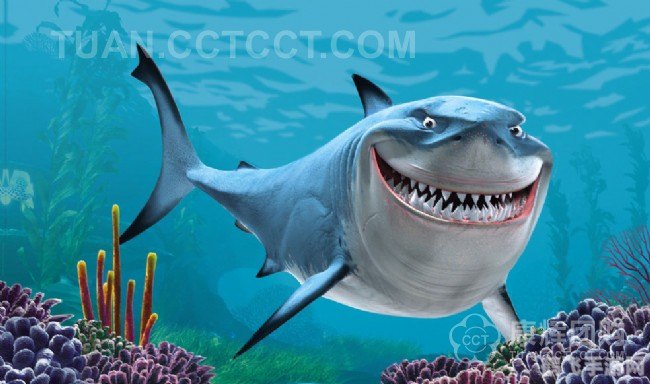 那种动物一生都在换牙,牙齿再生