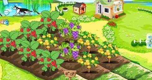 qq偷菜游戏,QQ偷菜游戏，策略与技巧全解析