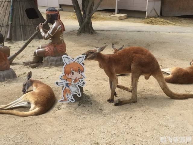 这些动物们总是动个不停,疯狂动物园——与永不停歇的动物们一起冒险!