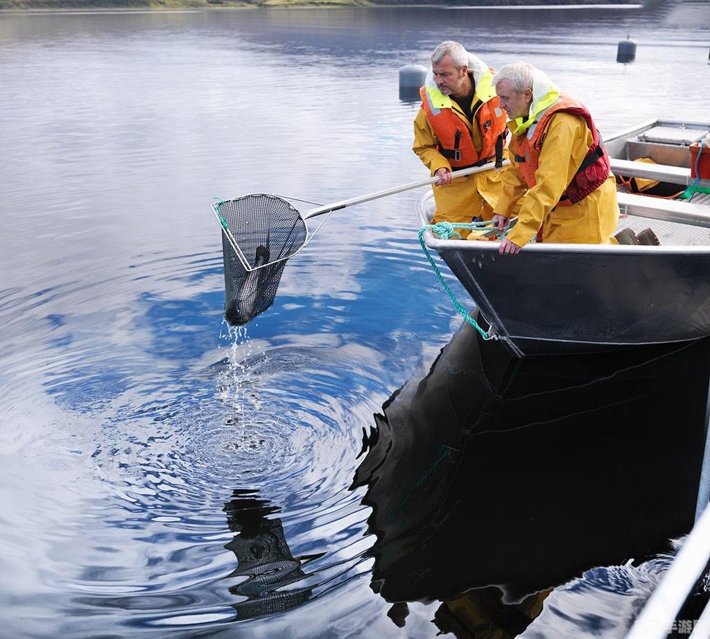 qq牧场怎么玩,QQ牧场游戏攻略,养殖、互动与乐趣无穷