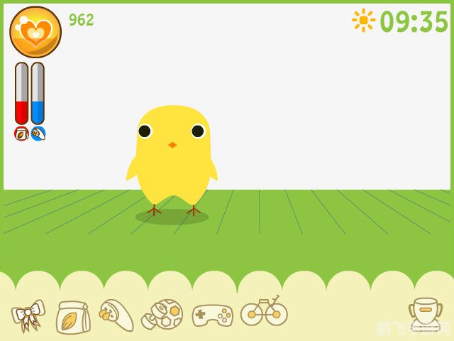 宠物小鸡养成攻略,打造你的专属萌宠