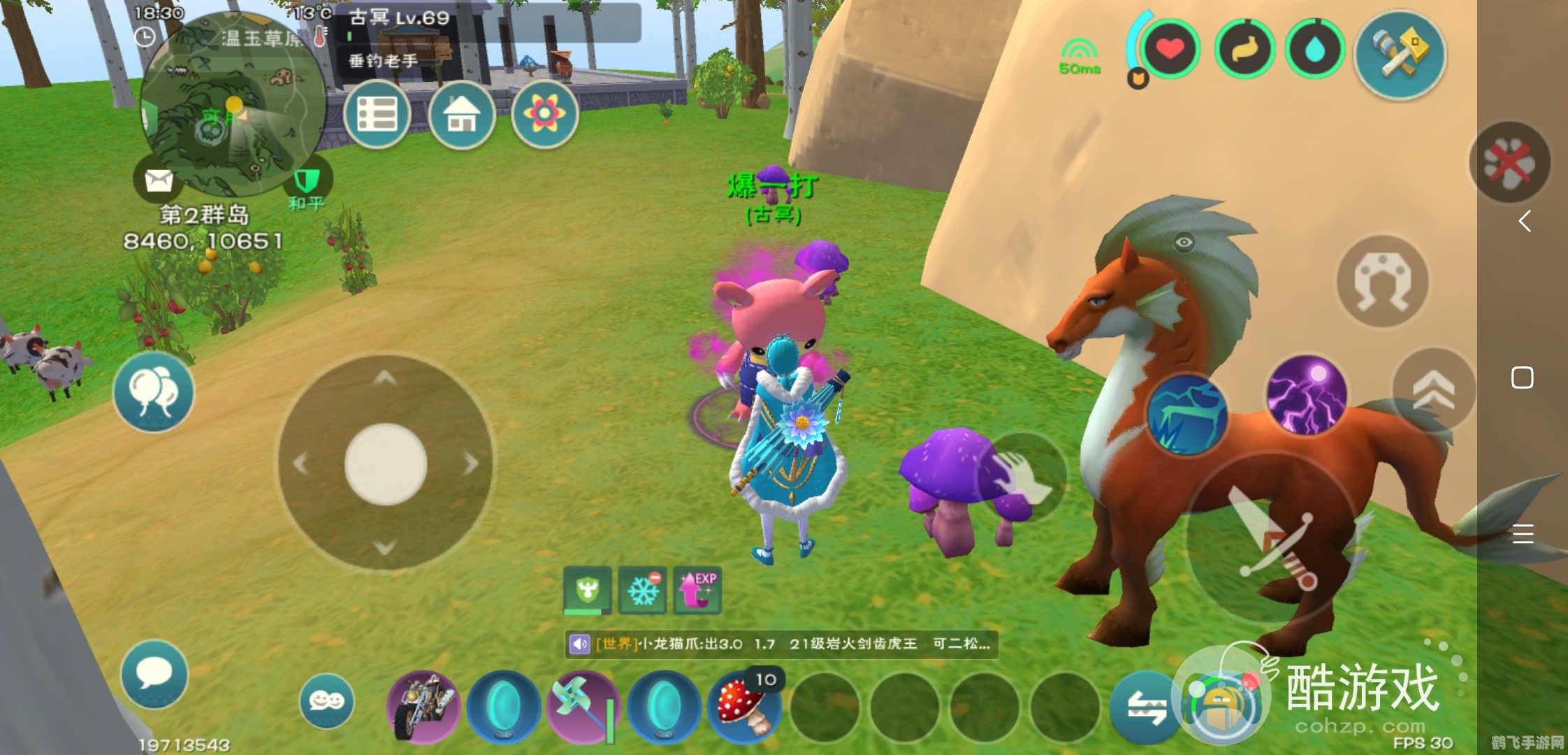 创造与魔法，揭秘魔鳞甲海龟饲料的制作与利用