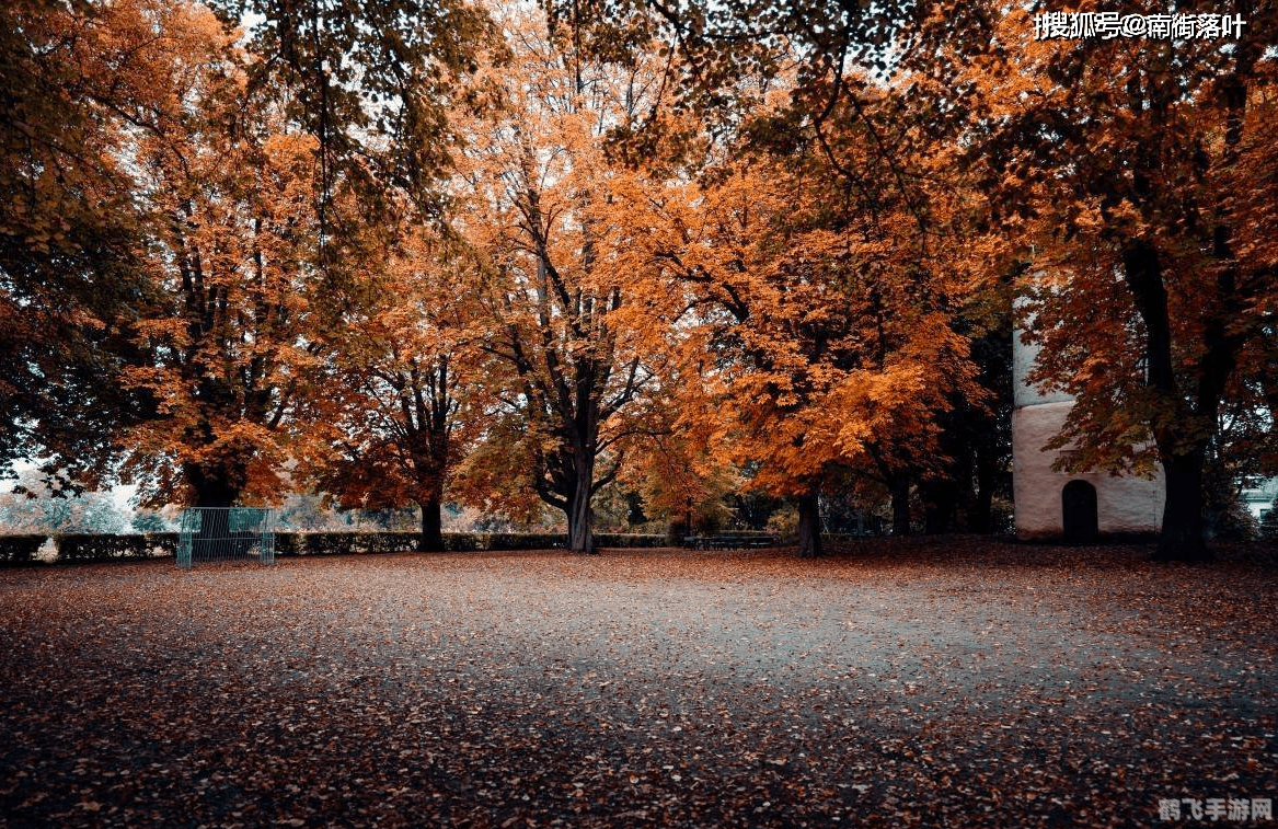 古人用什么树借指故乡？蚂蚁庄园手游攻略与知识解析