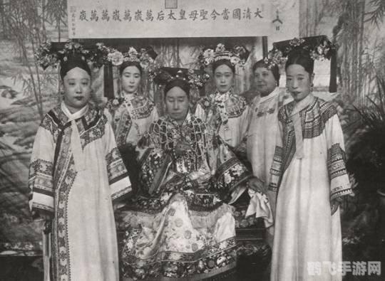 哪种动物的瞳孔是长方形,揭秘长方形瞳孔的神秘动物——羊的视界探秘