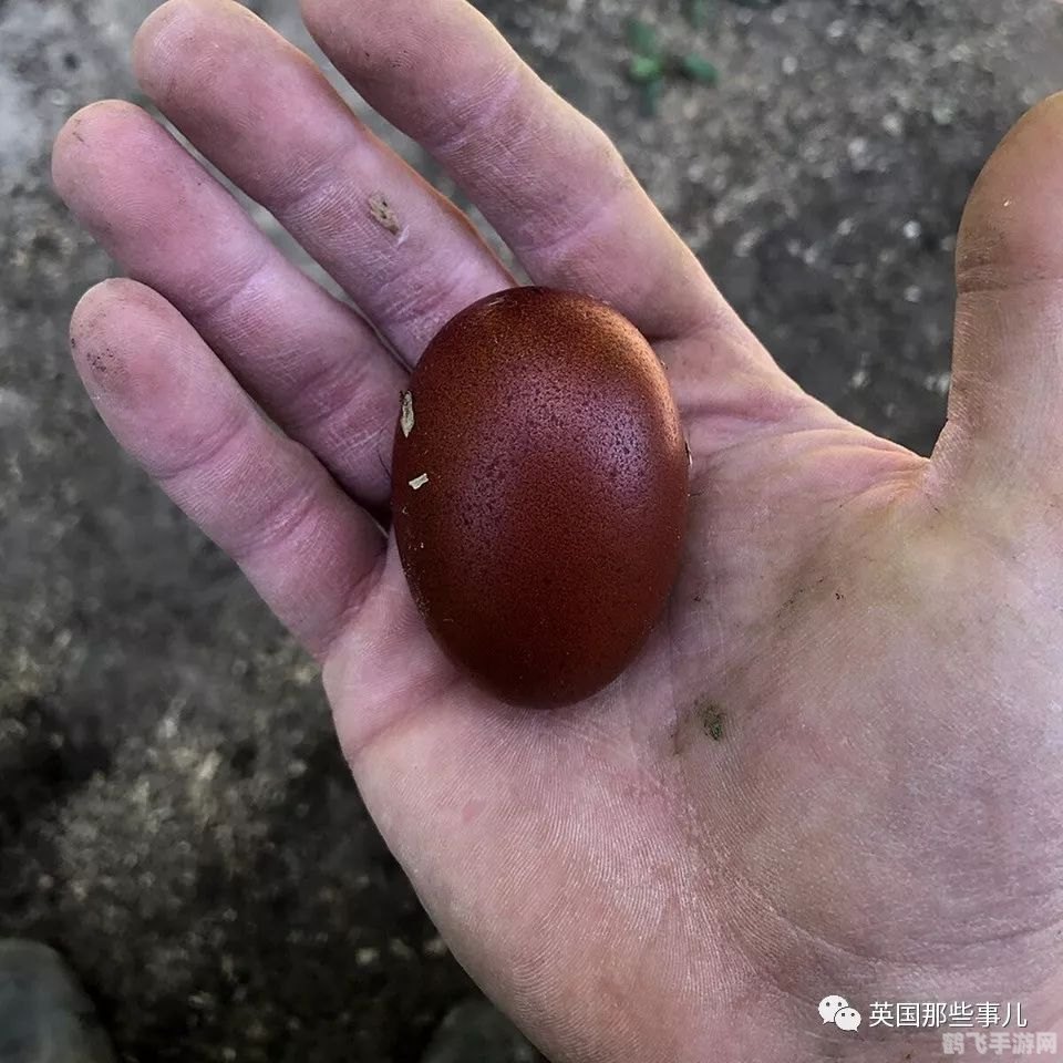 贡戈麦什的蛋,探秘贡戈麦什，寻找神秘之蛋的冒险之旅