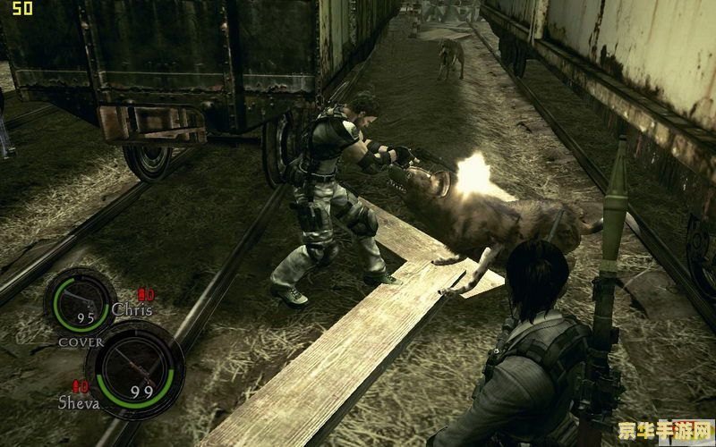 生化危机5无法运行,生化危机5运行问题解决方案