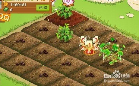 QQ农场金币速刷攻略,轻松成为农场大亨