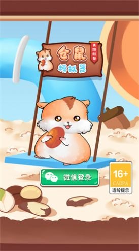 生活小游戏探秘，玩转日常生活的乐趣与挑战