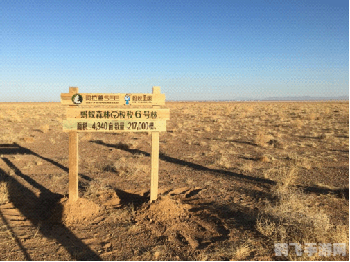 2019年9月蚂蚁森林荣获联合国地球卫士奖