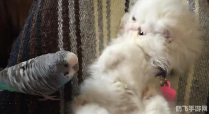 一、细心观察环境