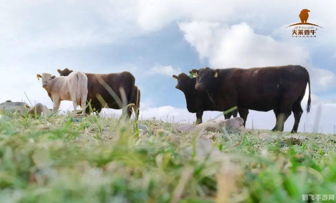 农牧结合，自给自足