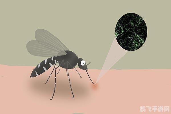 水果与蚊子,手游中的奇妙关联与防蚊攻略