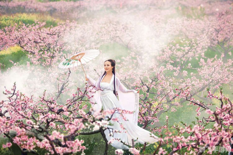 桃花幻梦酒,桃花幻梦酒,醉美江湖,幻梦之旅