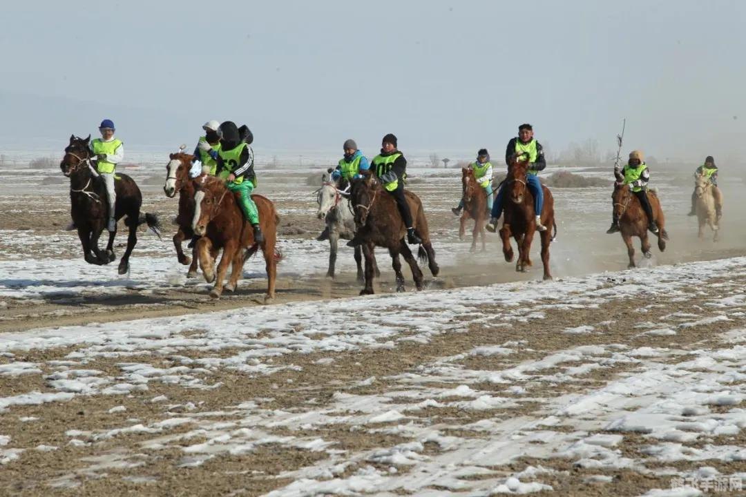 马蹄疾驰——手游赛马传奇玩法与攻略详解