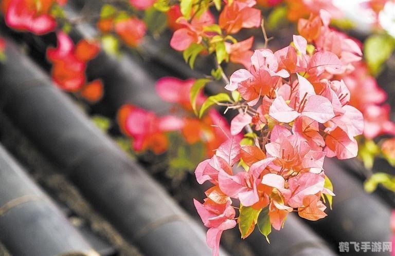 白头发会越拔长得越多吗蚂蚁庄园,蚂蚁庄园揭秘，白头发会越拔越多吗？手游玩法与攻略详解