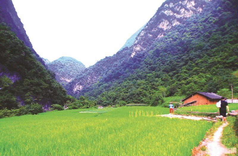 桃花源记神码探秘 桃花源记神码探秘