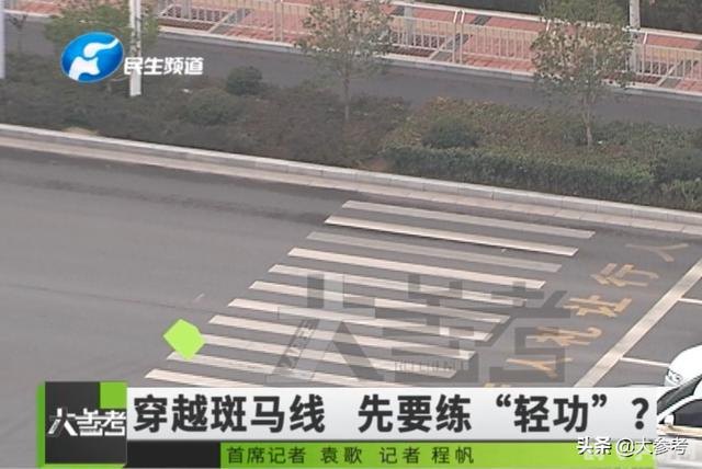 斑马线和斑马有什么关系,斑马线