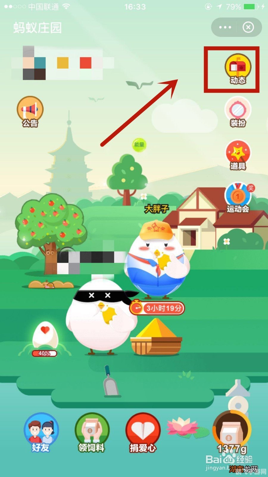 有的新衣服蚂蚁庄园,新衣服奇遇记,蚂蚁庄园手游全新攻略