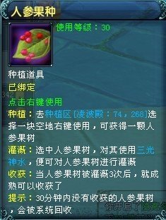 超级人参果手游深度攻略，探秘人参果的奇幻世界