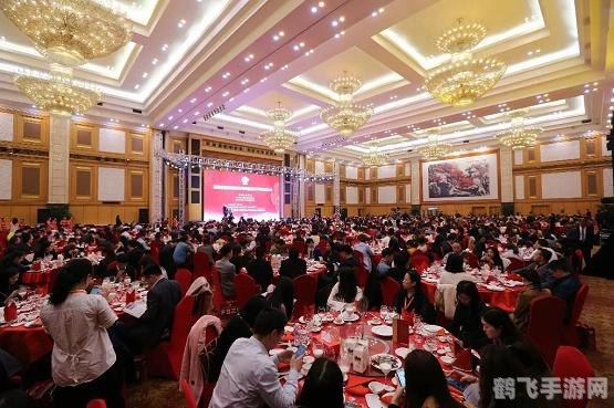 国精手游深度解析，玩转源码世界，成为游戏高手